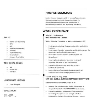 8355 - Senior Accountant