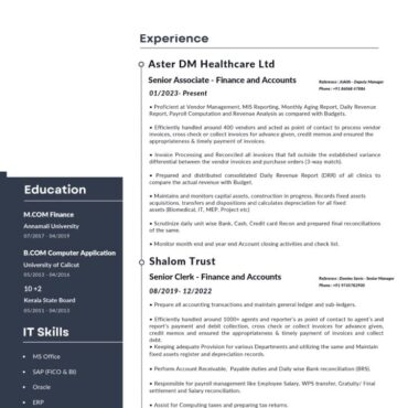 8376 - Senior Accountant
