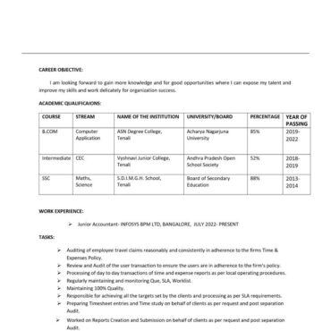 8331 - Junior Accountant