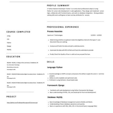 8396 - Backend developer