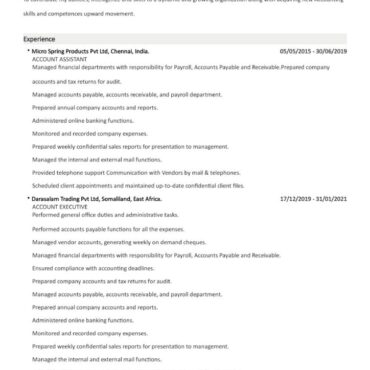 9388 - Accountant
