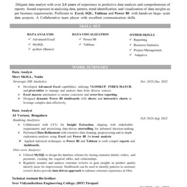 8495 - Data Analyst