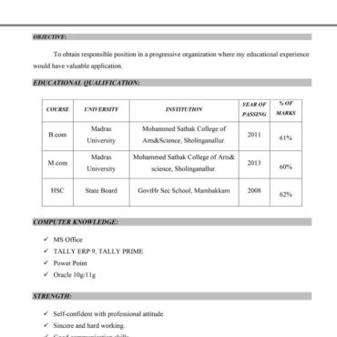 8203 - Senior Accountant