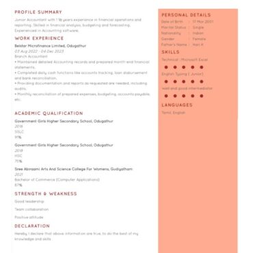 9251-Junior Accountant