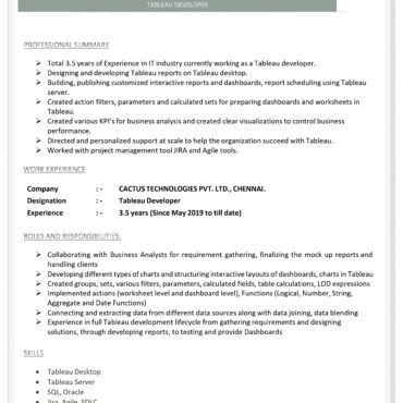 10449-Senior Software Developer