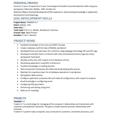 10726-Java Developer