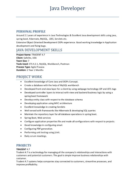 10726-Java Developer – Srisattva Group