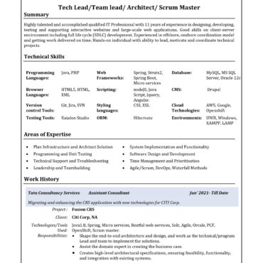 10737-Java developer