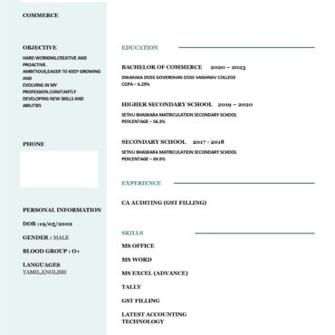 11033-Junior Accountant