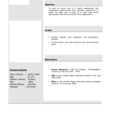 11041-Senior Accountant