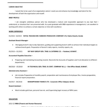 11060-Senior Accountant