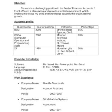 11078-Senior Accountant