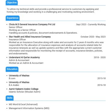 11087-Senior Accountant