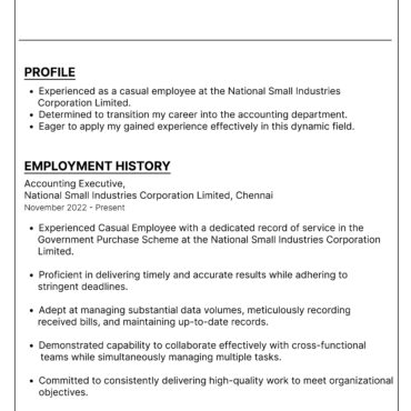 11094-Junior Accountant