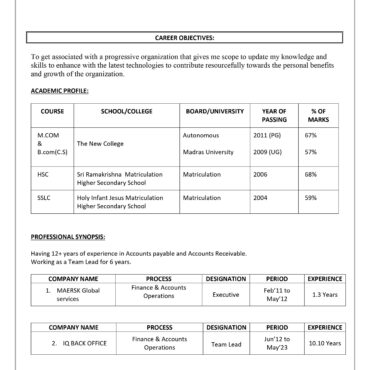 10890-Senior Accountant