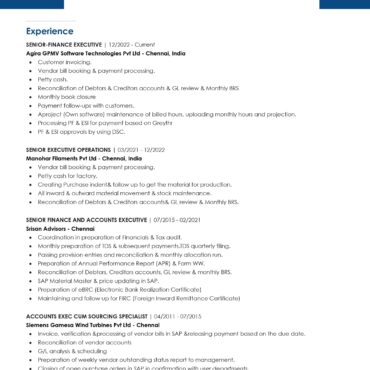 11261-Senior Accountant