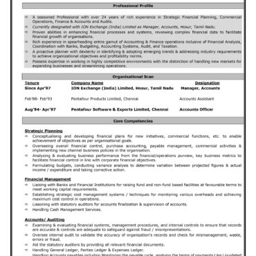 11271-Senior Accountant