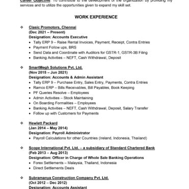 11454-Senior Accountant