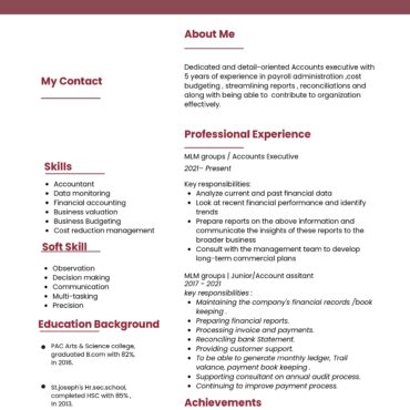 11006-Senior Accountant