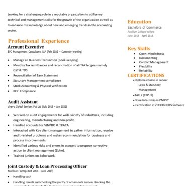 11088-Senior Accountant
