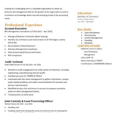 10735-Senior Accountant