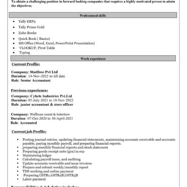 11740-Senior Accountant