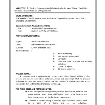 11787-Software Engineer