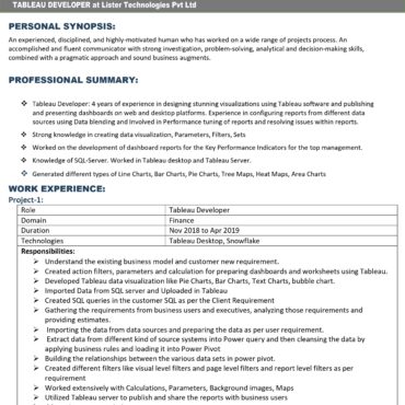 5923-Power BI Developer