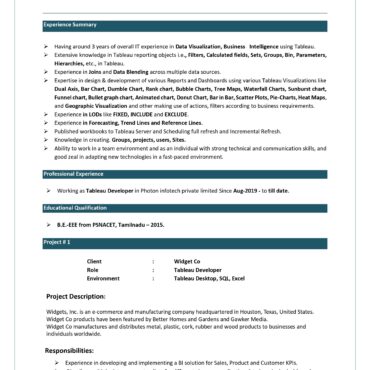 5954-Power BI Developer