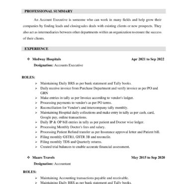 5402-Senior Accountant