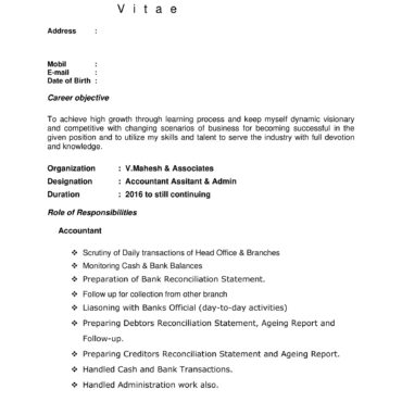 5355-Senior Accountant