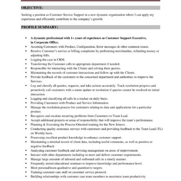 5316-Customer Support Executive