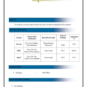 5301-Customer Support Executive