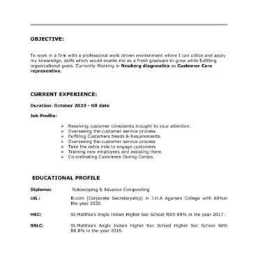 5286-Customer Support Executive