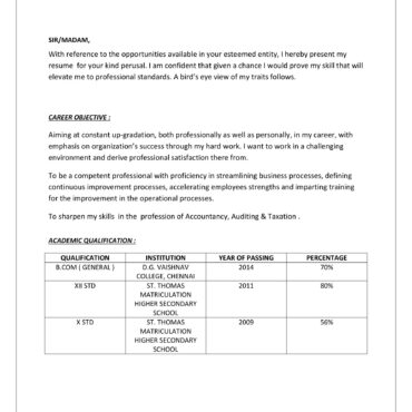 5283-Senior Accountant