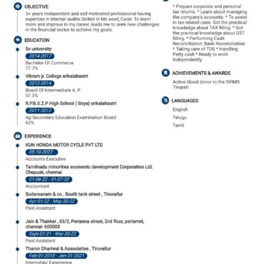 5282-Senior Accountant