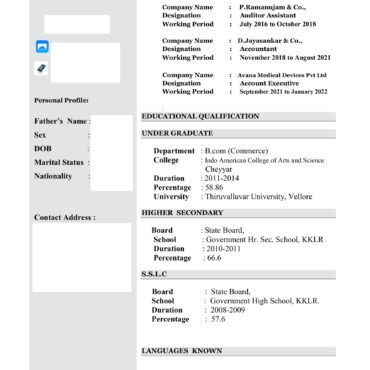 5274-Senior Accountant