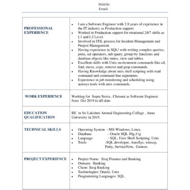 5811-Software Engineer