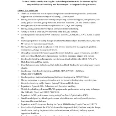 5809-Software Engineer