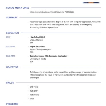 3860 - Junior Accountant
