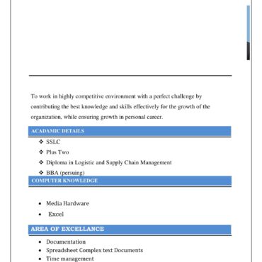 7068 - Sales Executive