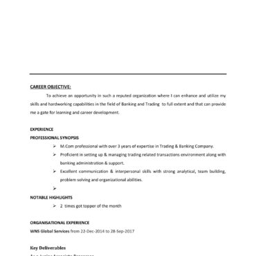 6064-Senior Accountant