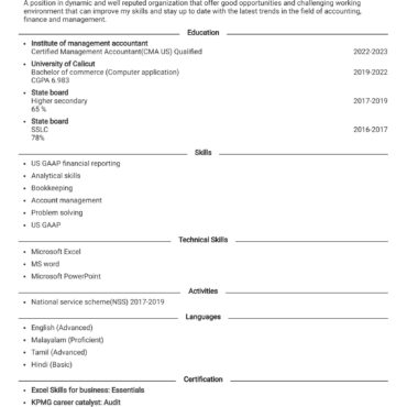 3833 - Junior Accountant