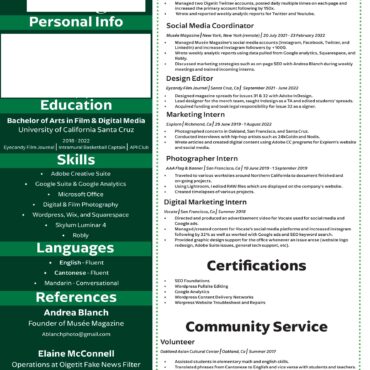 5034-Sales Executive