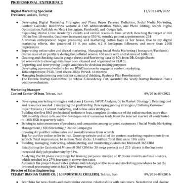 5030-Sales Executive
