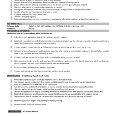 3981 - Senior Accountant