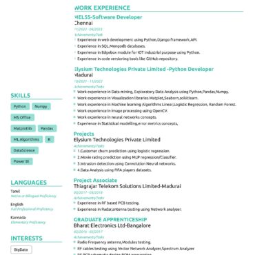 11667 - Software Developer