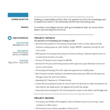 3954 - Senior Accountant