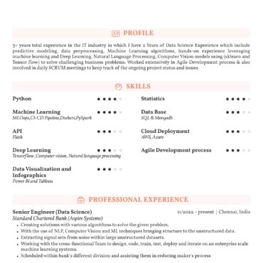 11696 - Data Scientist