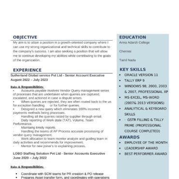 3942 - Senior Accountant